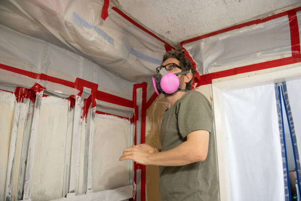 Trusted Galena, IN Mold Removal Experts